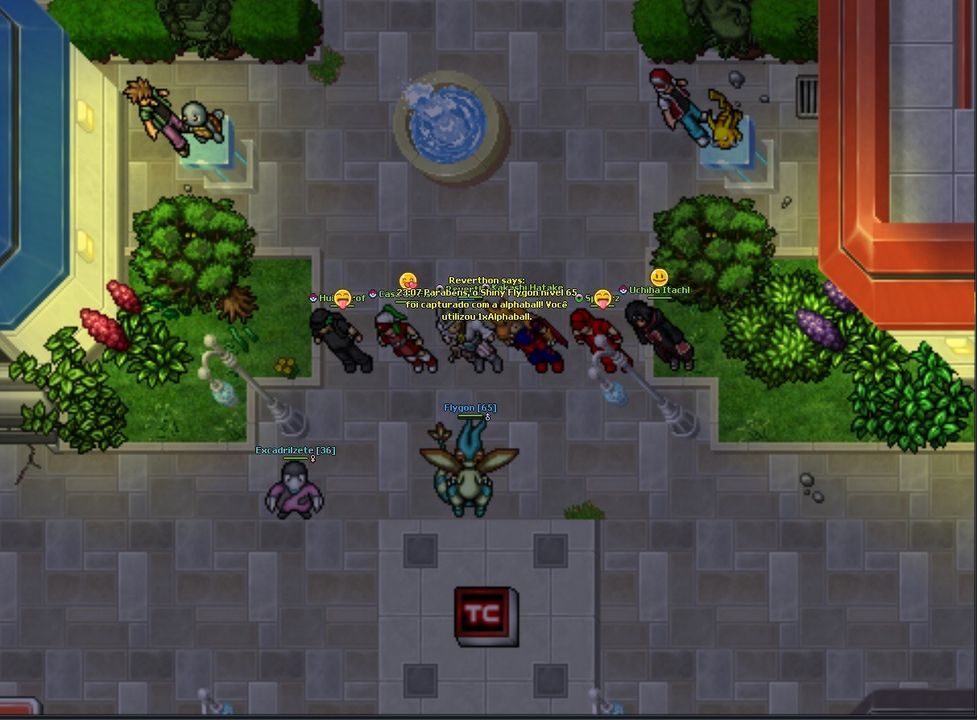 Imagem 4