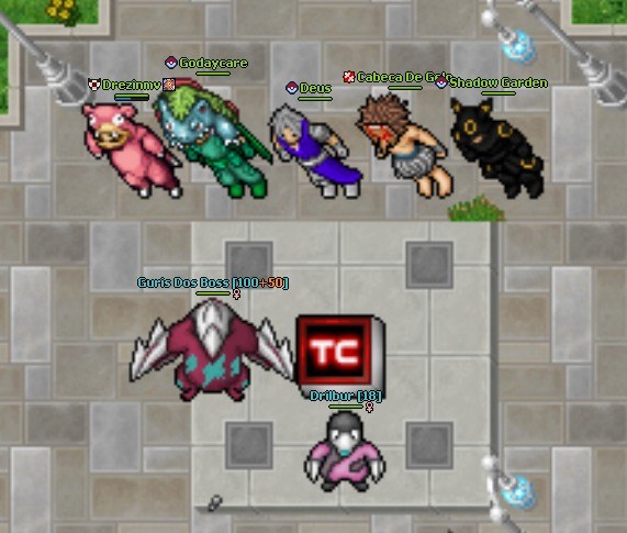 Imagem 5