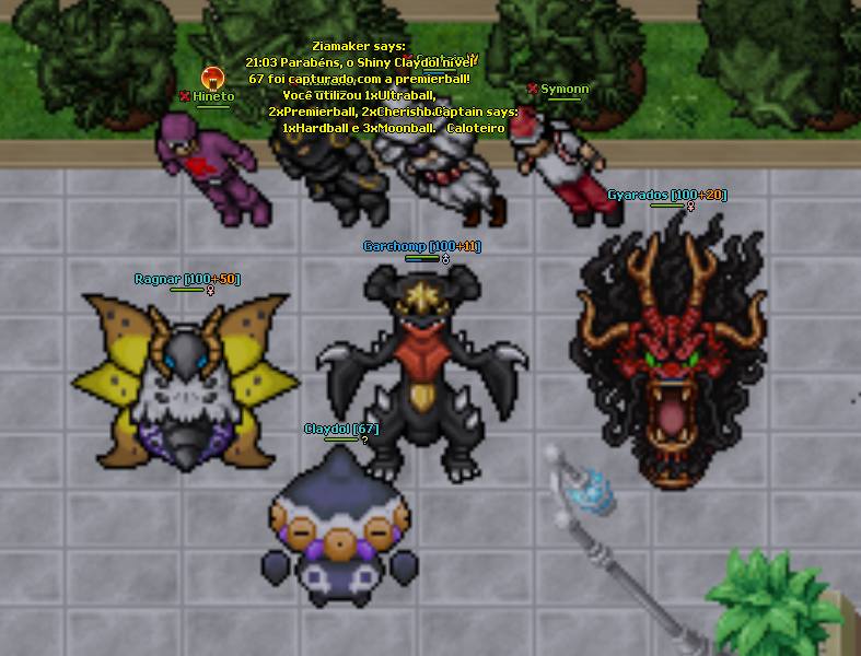 Imagem 6