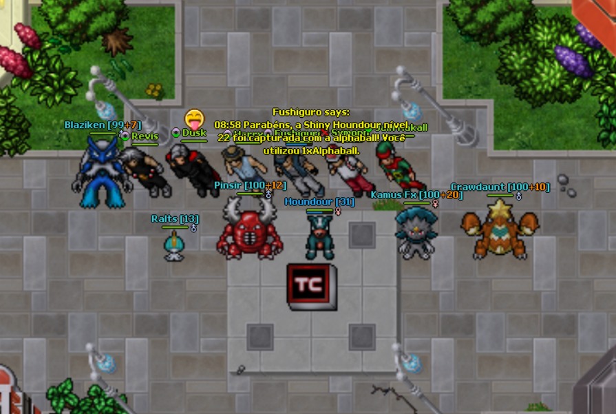 Imagem 7